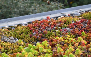 the cost of Tingrith green roof installation